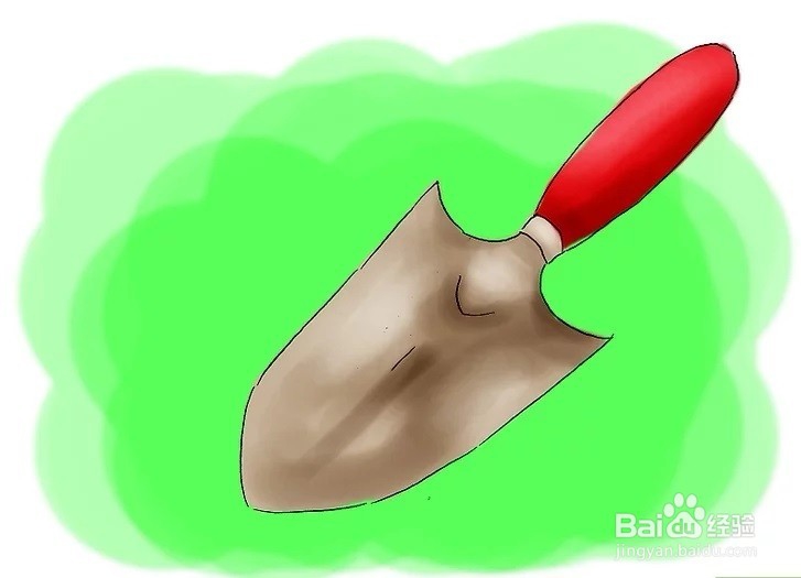 怎么辨别莎草？