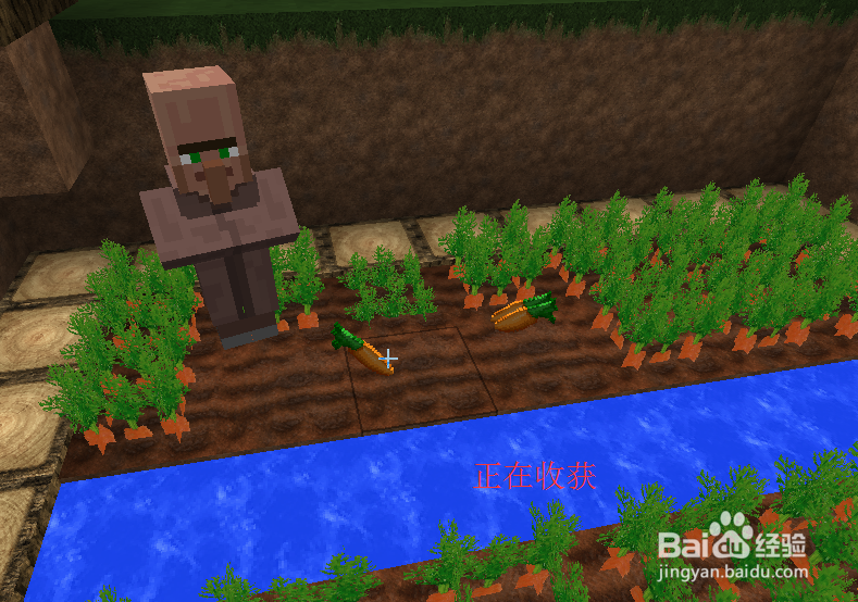 我的世界村民怎么吃饭