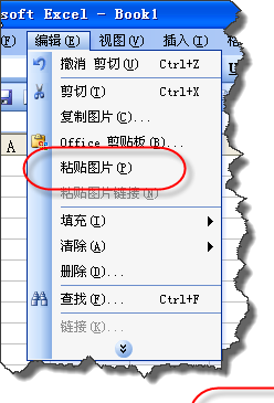 如果选择粘贴图片可以直接在选择区域粘贴与选择区域一样的图片