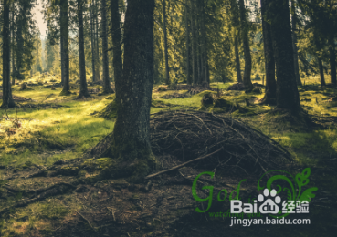 PS快速制作专属自己的个性水印签名