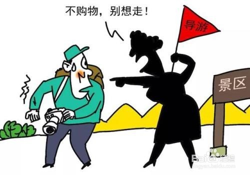 广西野导群殴游客,旅游遇到黑导游怎么办