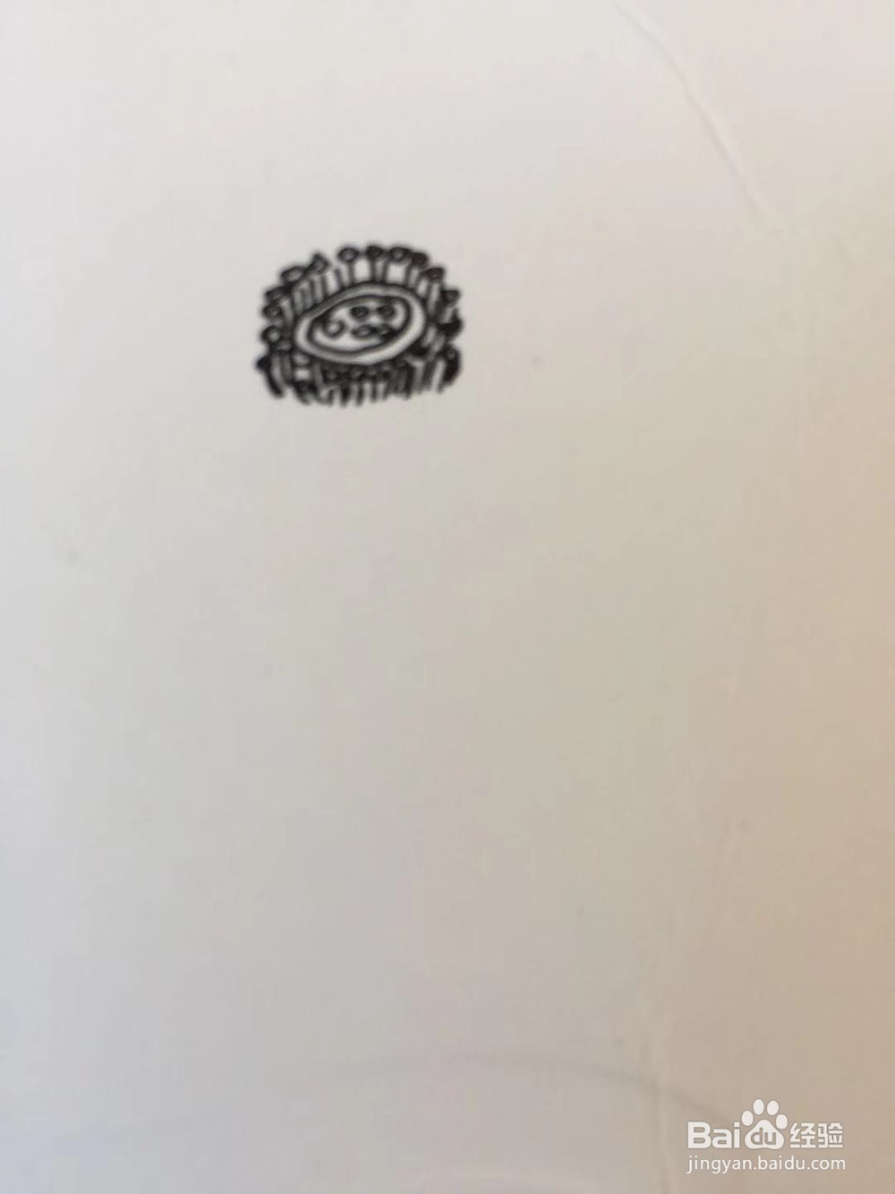 插画教程之莲花