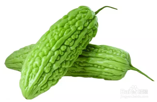 苦瓜怎样做不苦