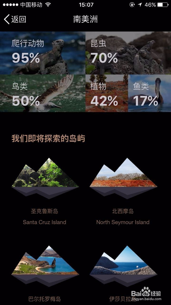 如何报名QQ x 计划？