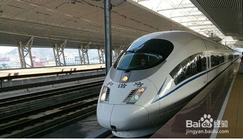 莞惠城轨乘车注意事项