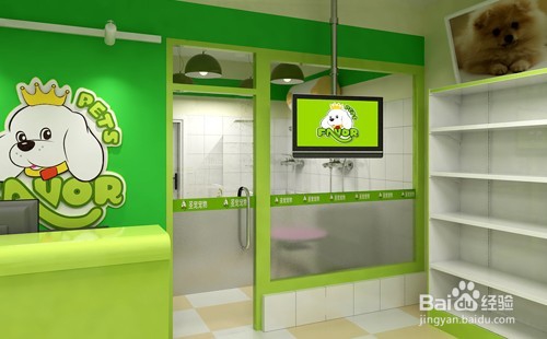 宠物店应该如何接待客户