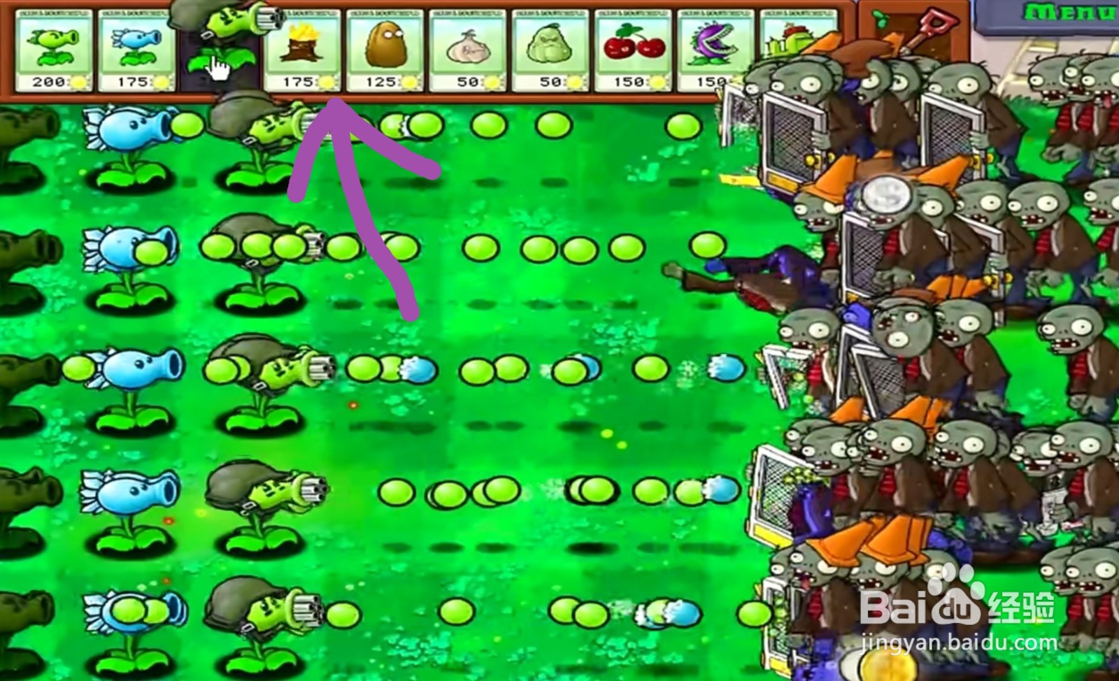 植物大战僵尸中的升级版豌豆射手怎么用？