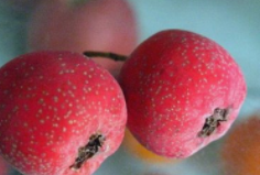 吃山楂的注意事项