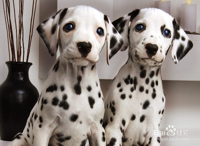 如何正确的检查风湿病