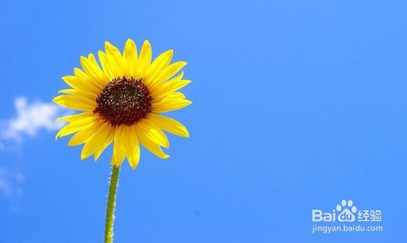 如何从重度抑郁症中走出来