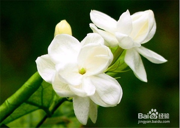 老中医说有这些问题，肝脏有病变，该这样来应对