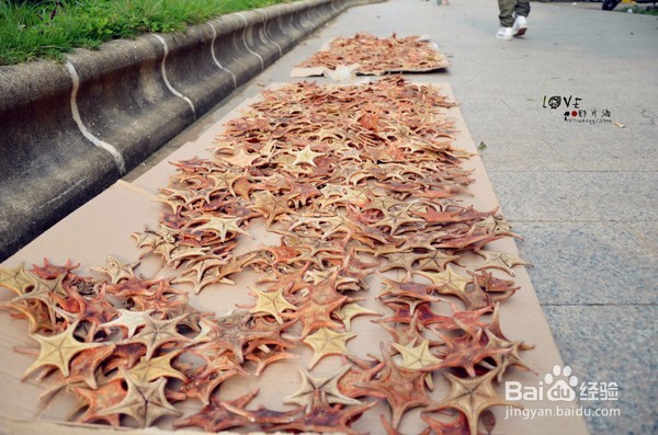带你玩转海陵岛,看遍美食美景与美人