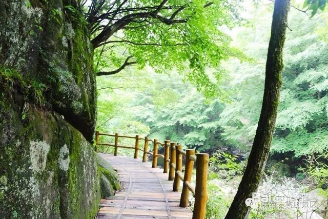 这才是云雾山游玩的正确方式