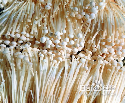 常吃十种食物，冬天排毒不用怕