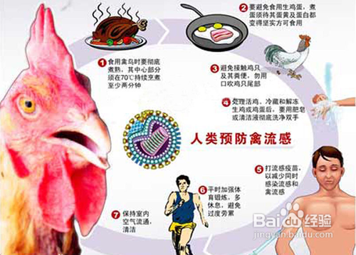 如何预防H7N9型禽流感