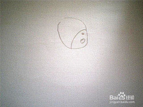 简笔画怎样画小毛驴