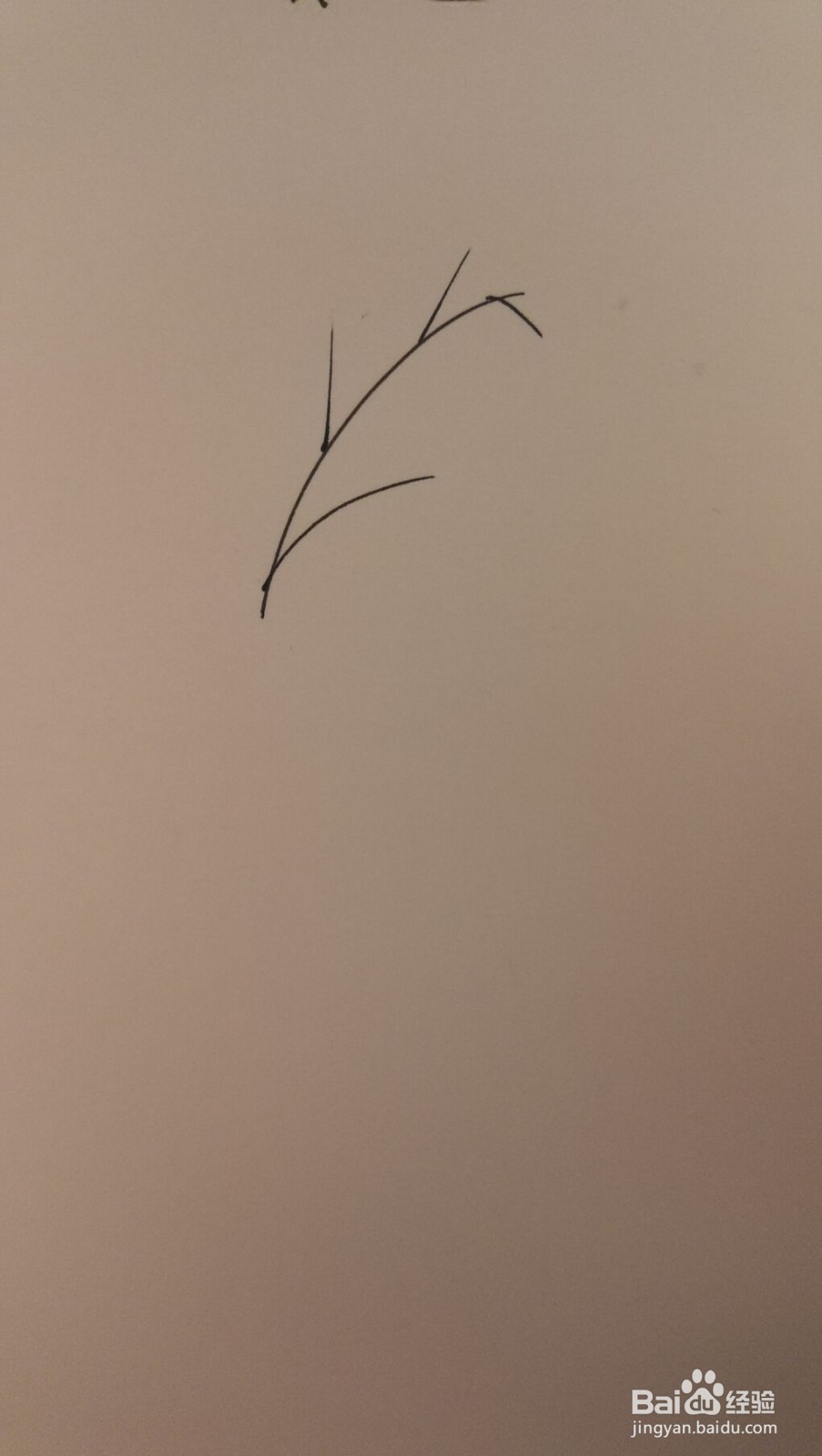 小草简笔画之画法四十九