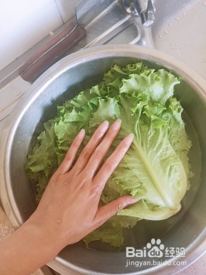蒜汁蚝油生菜