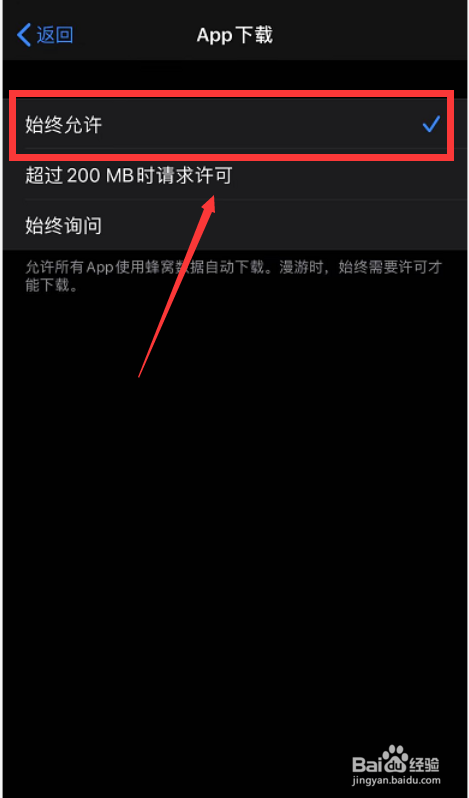 iPhone 11怎么解除数据流量下载限制