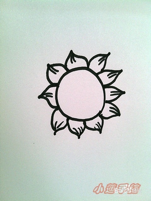 油画棒植物篇3向日葵