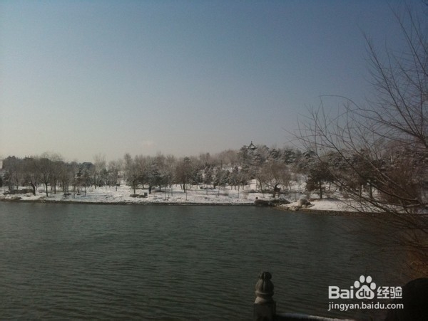 北京旅游攻略：[9]旺兴湖公园