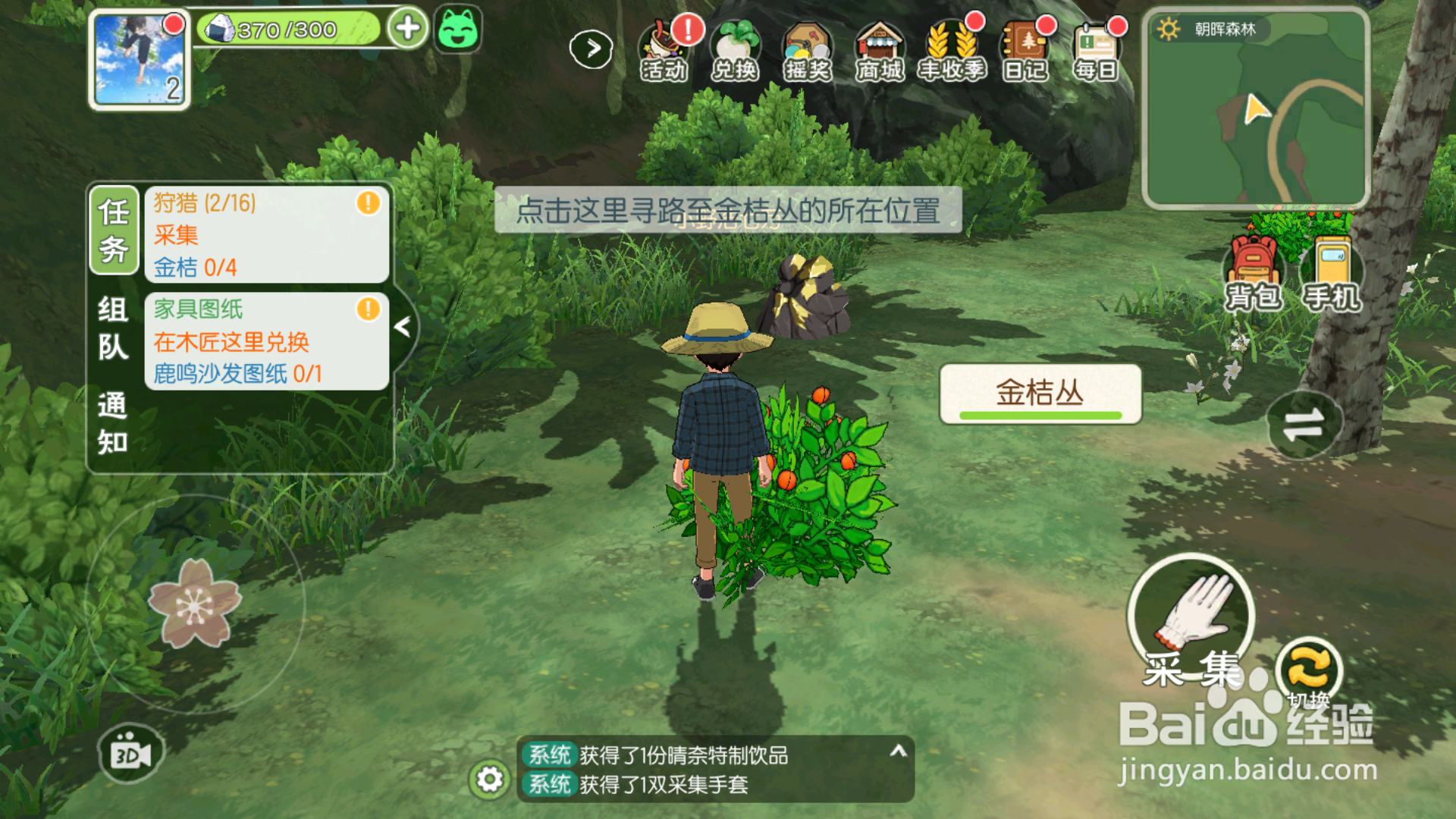 小森生活金桔怎么得