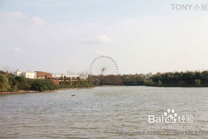 新手做土司必须要了解的5个要点---旅游外出给我们补充体力的芝麻黄油土司