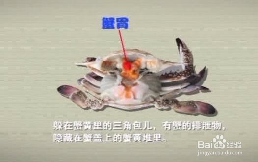 吃蟹知多少？蟹的哪些地方不能吃你知道吗？