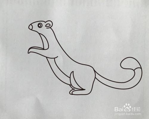 如何画黄鼬简笔画
