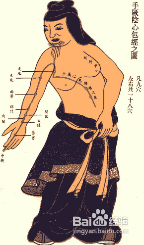中医经络知识之手厥阴心包经图解