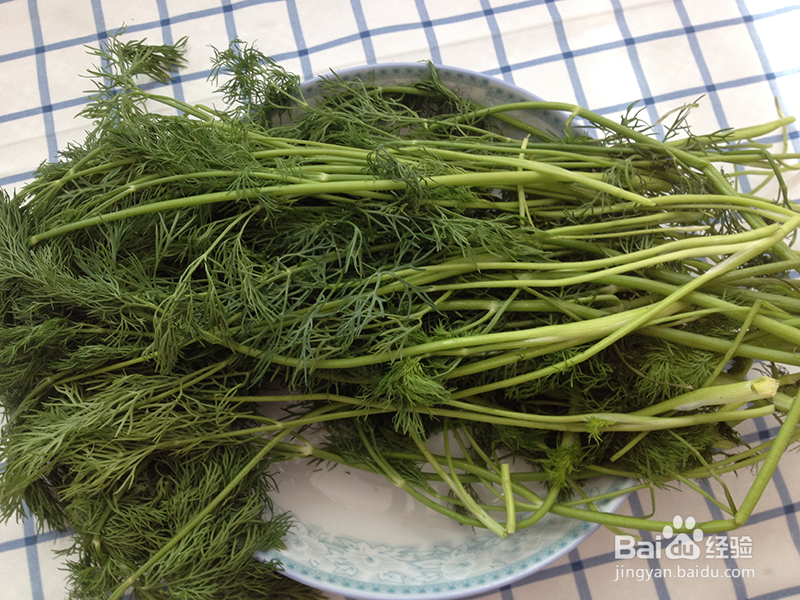 小茴香煎鸡蛋饼的做法