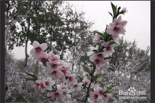 用光影魔术手如何将图片变淡