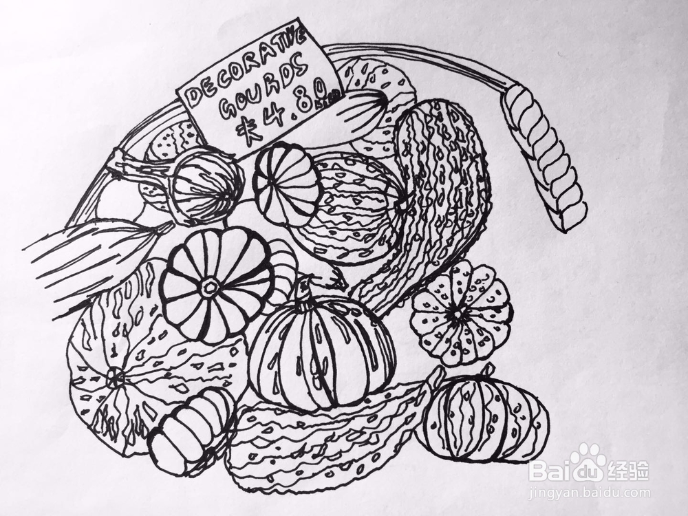 茉莉手绘之南瓜军团