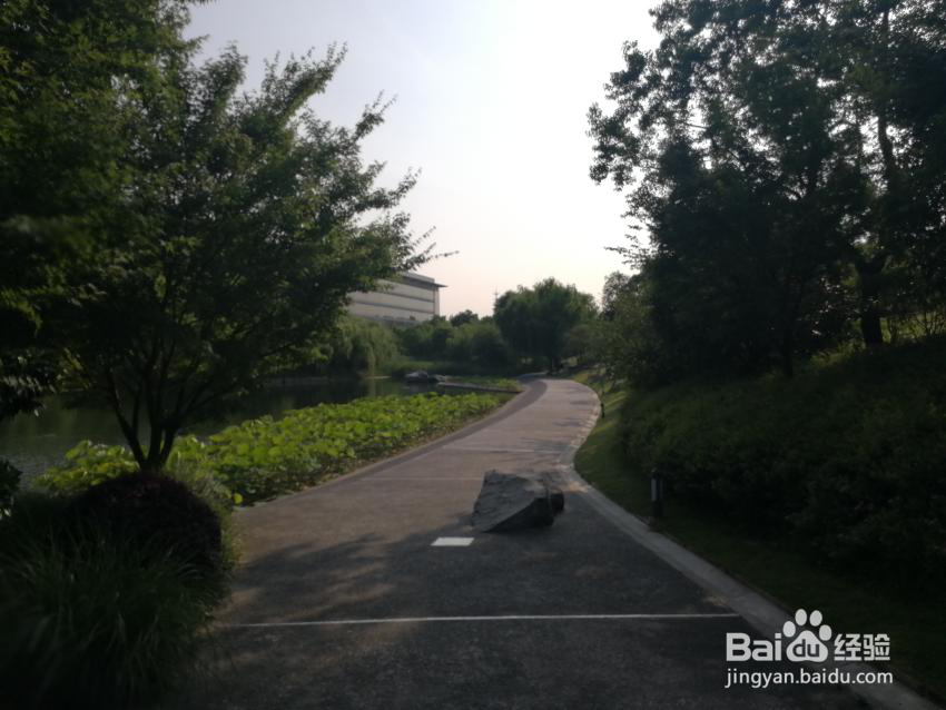 荣耀9相机/双摄变焦/双摄像头/变焦/#潮机课堂#