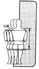 人体工程学——人体与室内