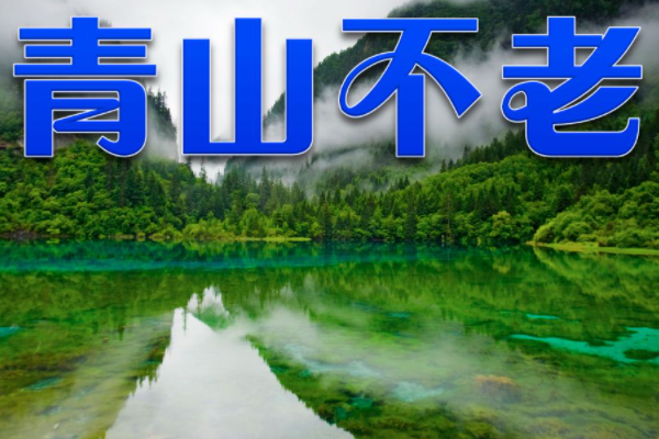 六年级上 人教 青山不老 这句话中大环境指什么 答案