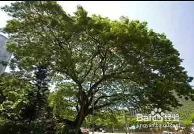 如何在泥水中分辨方向