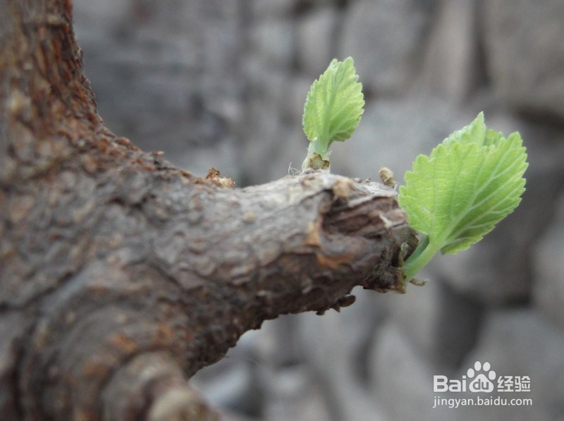 如何保持好的生活态度和健康的身体