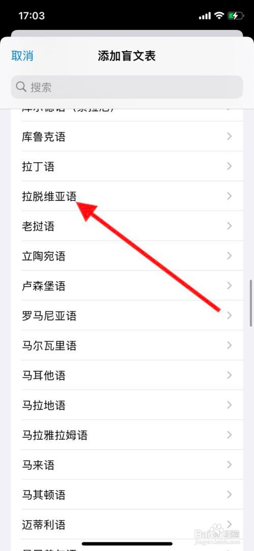 iPhone旁白添加“拉脱维亚语”盲文表