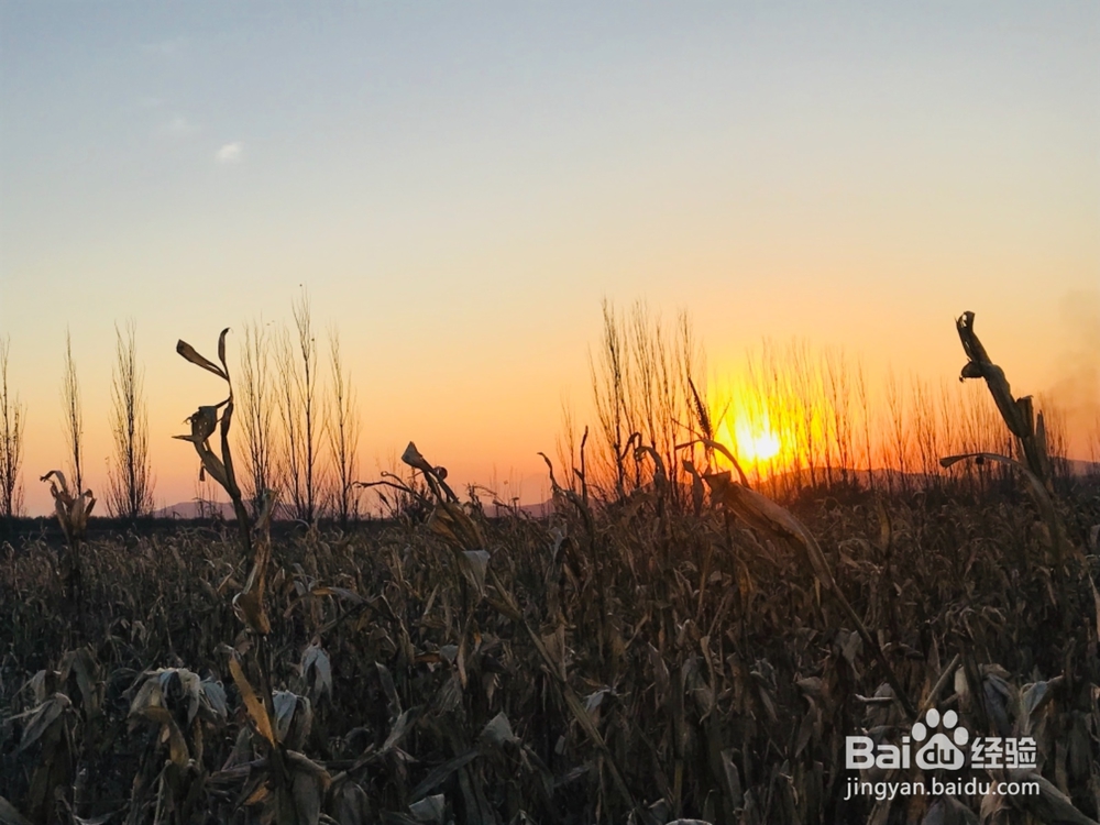 怎样拍摄初冬的田野