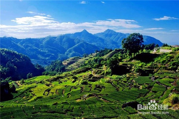 小镇旅游攻略—中国最美的20个小城(上篇)
