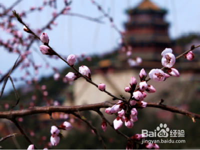 北京早春游玩注意什么