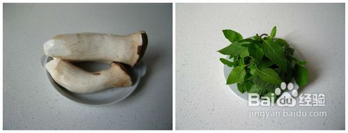 另一款三杯的诱惑美味--三杯杏鲍菇的的详细做法