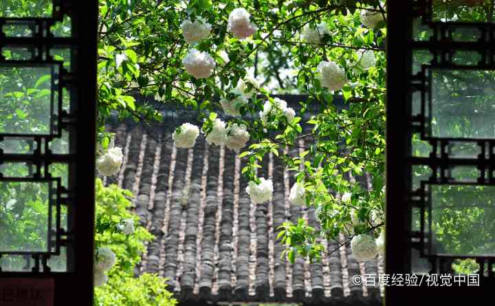 绣球花垂头怎么办