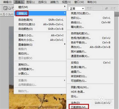 photoshop软件中如何设置图片的匹配颜色效果?