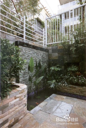 私家庭院如何防治蚊虫