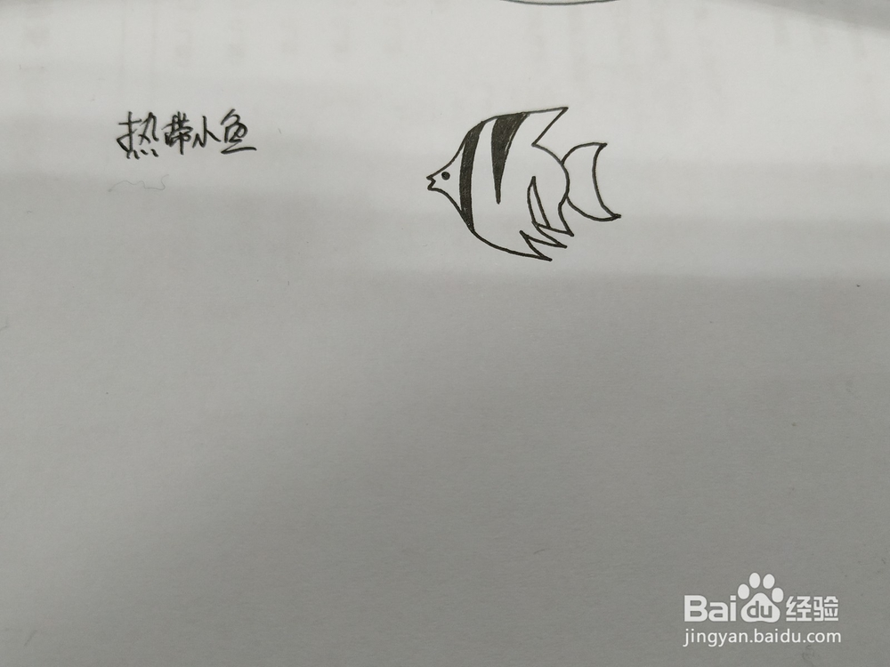 热带小鱼简笔画怎么画，怎么画热带鱼简笔画