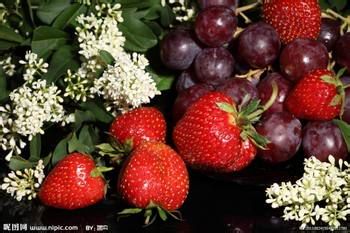 高血糖的饮食疗法