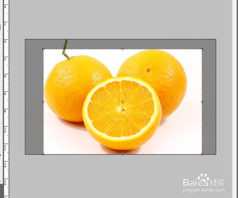 photoshop怎么裁切图片