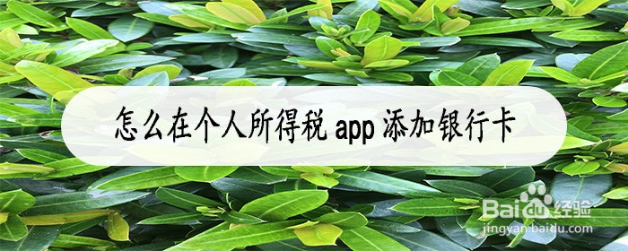 怎么在个人所得税app添加银行卡